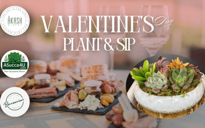 Valentine’s Day Plant & Sip Event at Akash Winery
