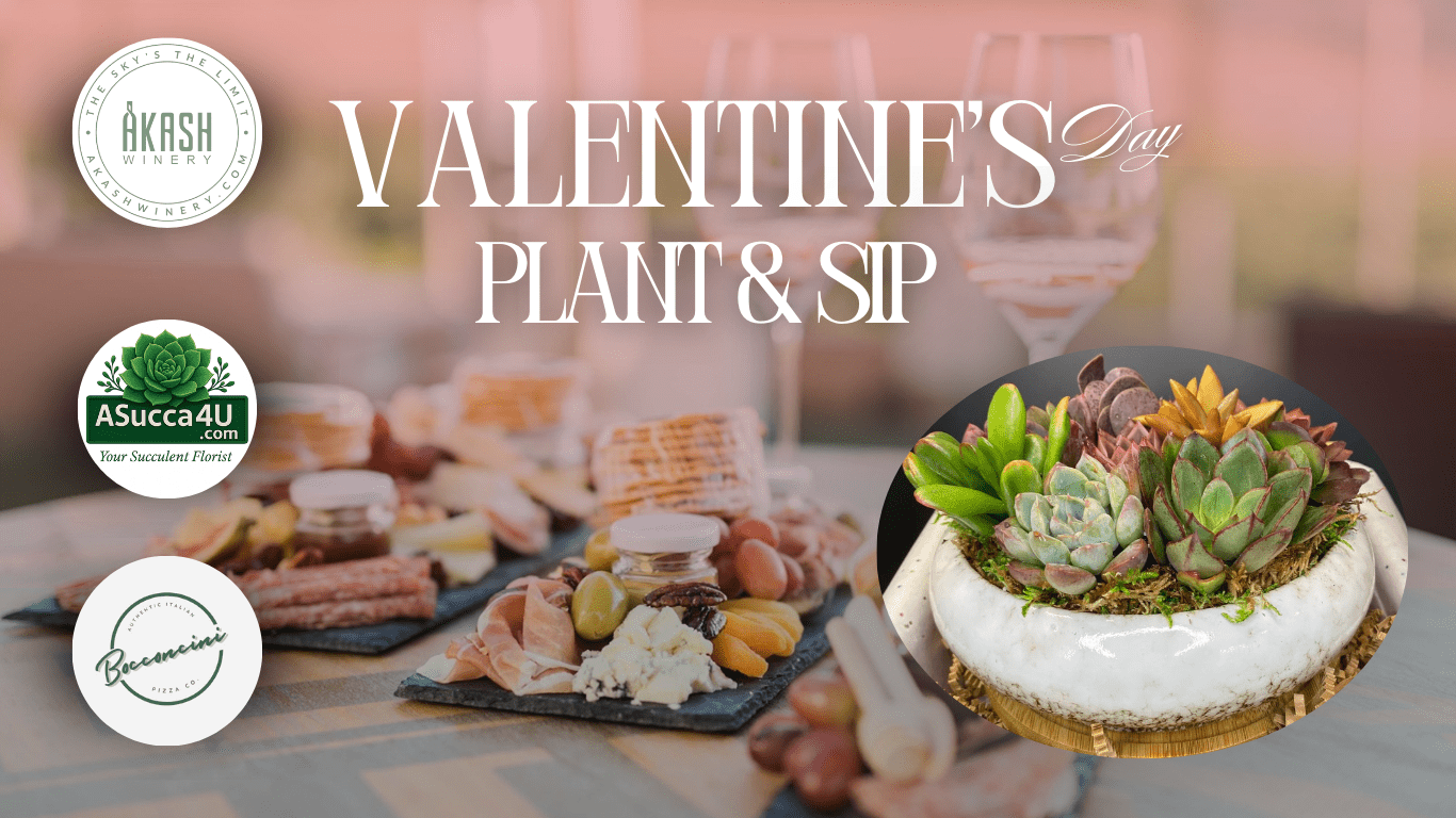 Succulent plant and sip (1)